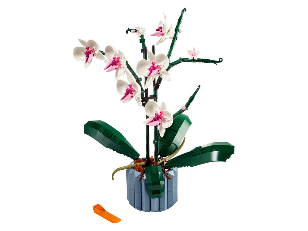 10311 L'orchidée