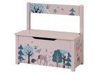 Banc coffre