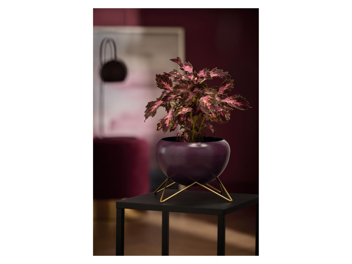 Pot(s) de fleurs décoratif(s)