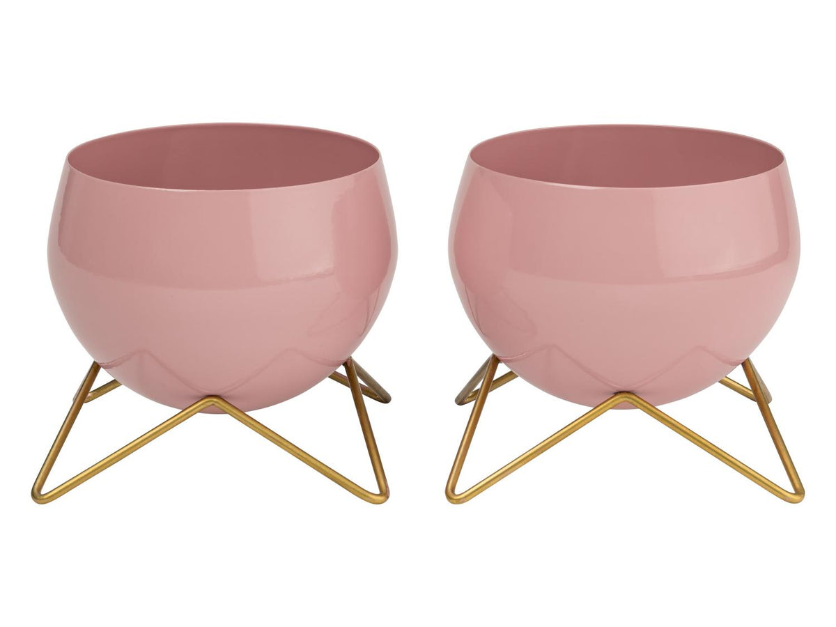 Pot(s) de fleurs décoratif(s)