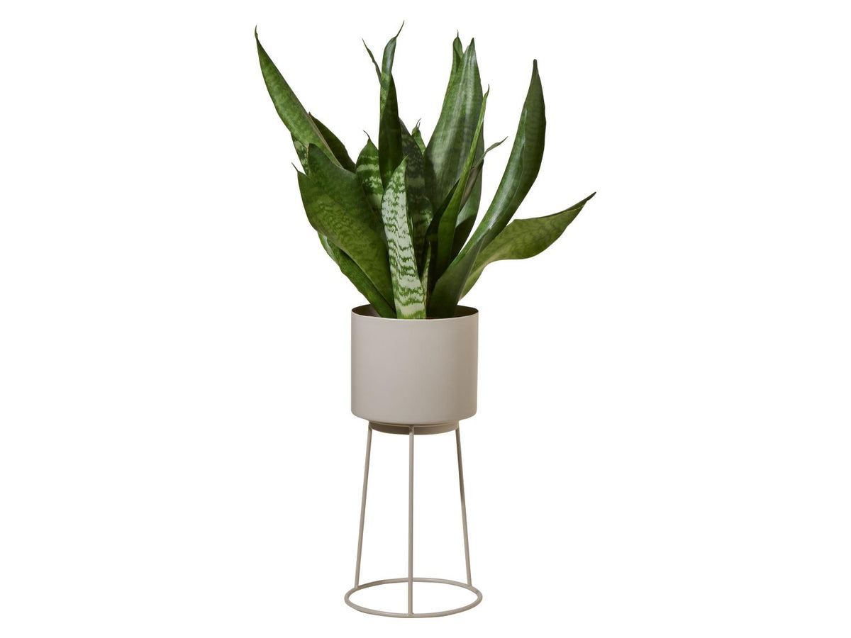 Pot pour plante avec support