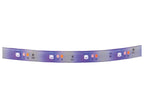 Ruban à LED, 10 m