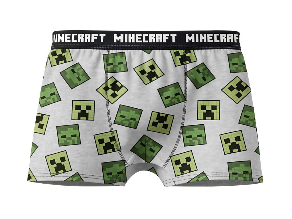 Lot de 2 boxers Minecraft ou Pokemon garçon