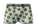 Lot de 2 boxers Minecraft ou Pokemon garçon
