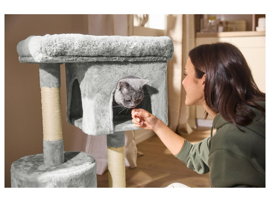 Arbre à chat