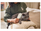 Brosse à vapeur pour animaux
