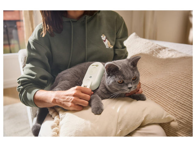 Brosse à vapeur pour animaux