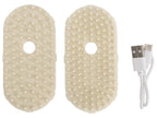 Brosse à vapeur pour animaux