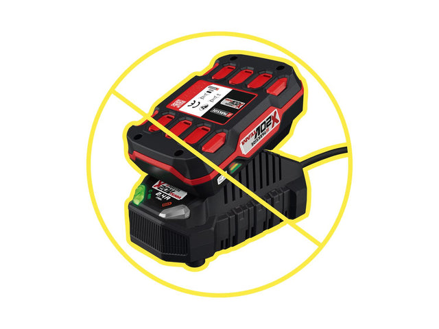 Coupe-branches sans fil + batterie + chargeur, 20 V