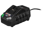 Coupe-branches sans fil + batterie + chargeur rapide, 20 V