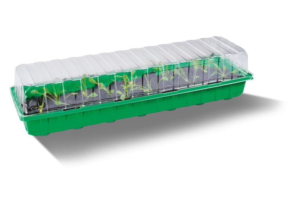 Kit de serres de germination, avec 20 emplacements de plant° par bac