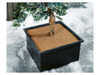 Lot de 10 disques de coco