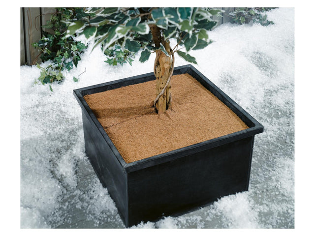Lot de 10 disques de coco