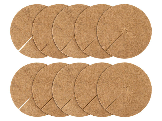 Lot de 10 disques de coco