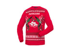 Pull-over de Noël pour homme