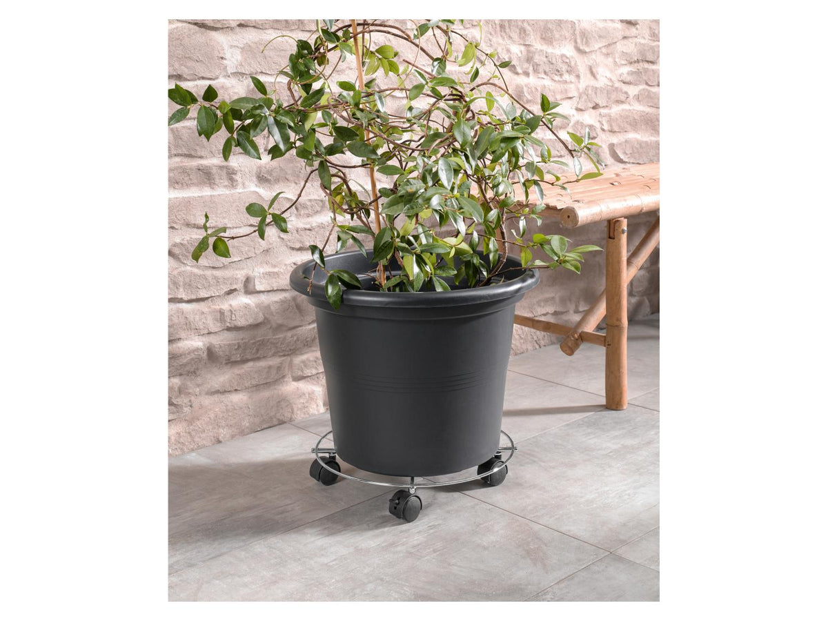 Rouleur pour plantes, avec 2 freins