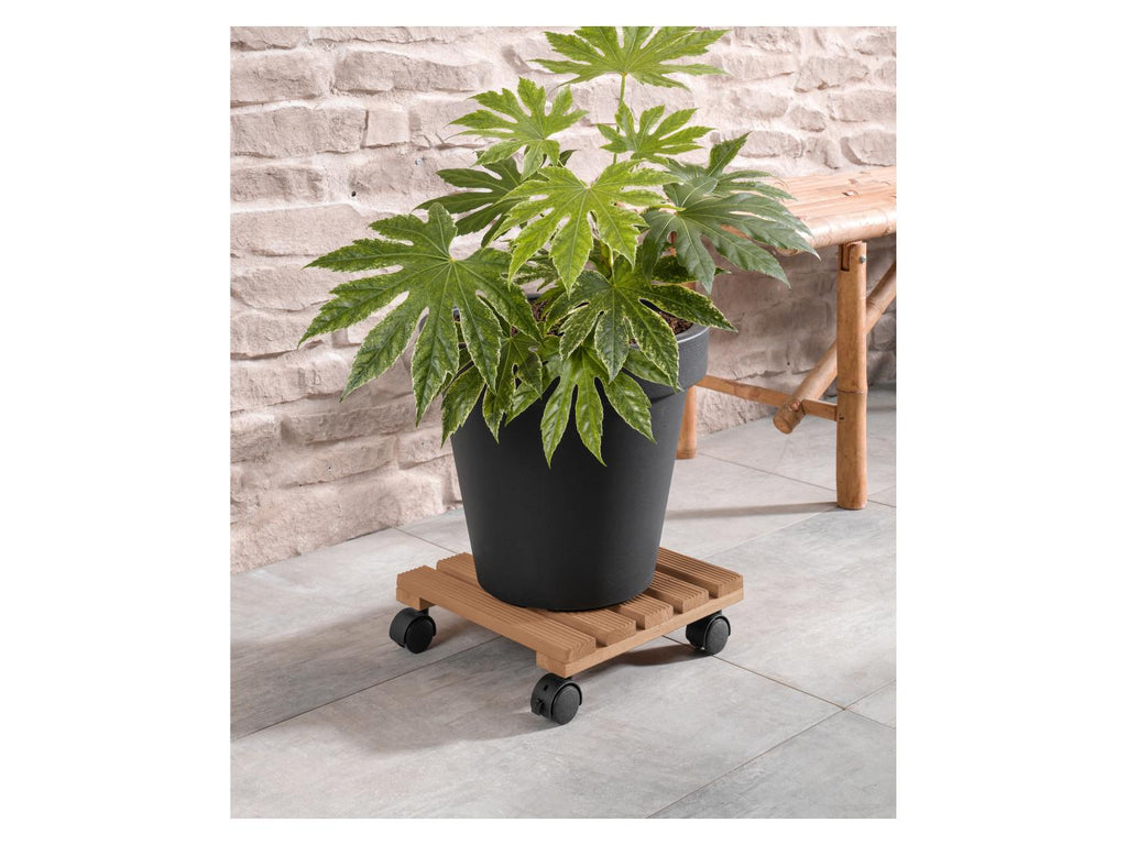 Rouleur pour plantes, avec 2 freins