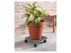 Rouleur pour plantes, avec 2 freins