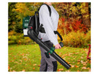 Souffleur de feuilles thermique, PBRLB 52 A1