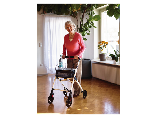 Déambulateur d'intérieur Pit