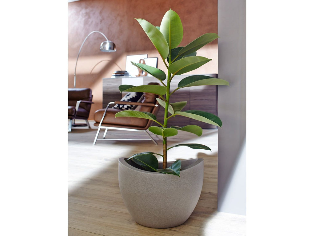 Pot à plantation Wave Globe