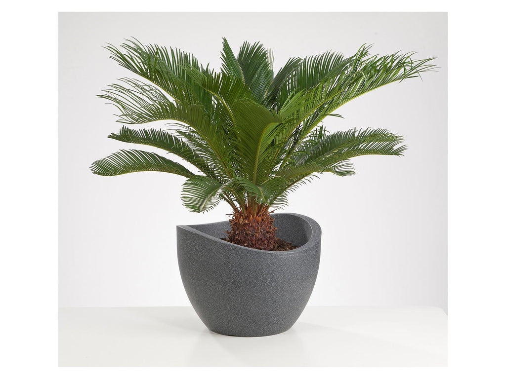 Pot à plantation Wave Globe