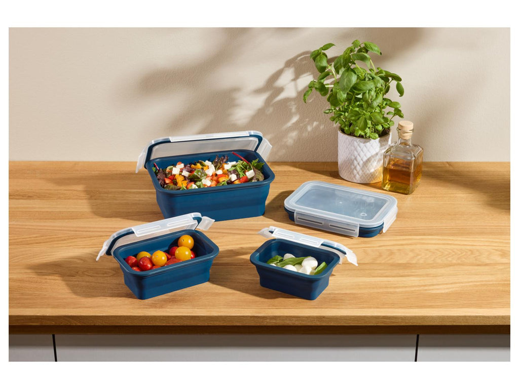 Lots de boîtes de conservation avec fermeture à clic en silicone