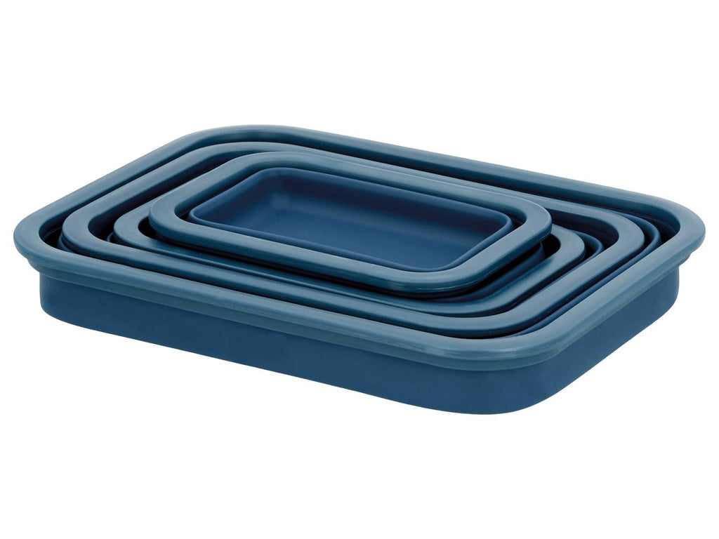Lots de boîtes de conservation avec fermeture à clic en silicone