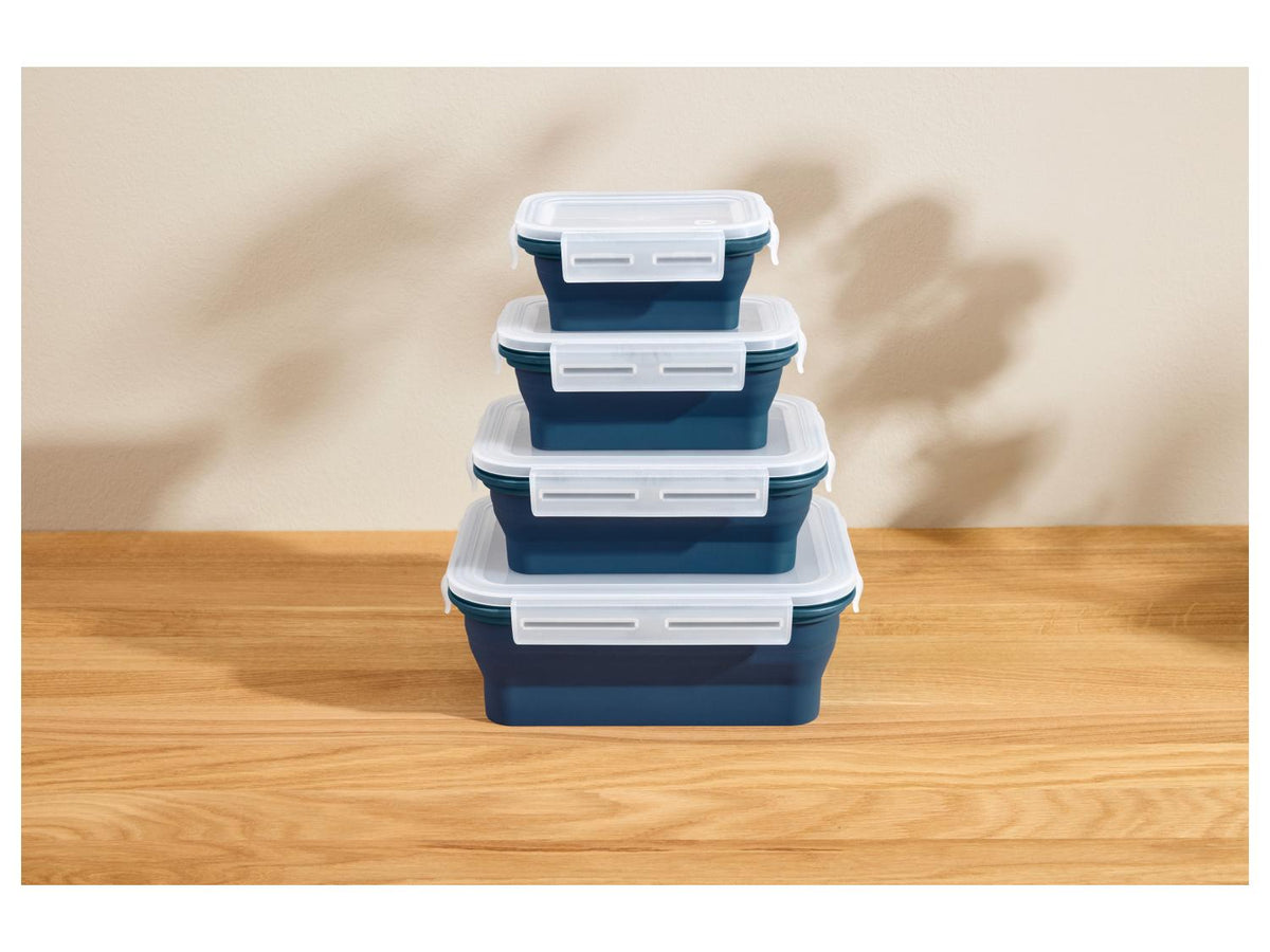 Lots de boîtes de conservation avec fermeture à clic en silicone