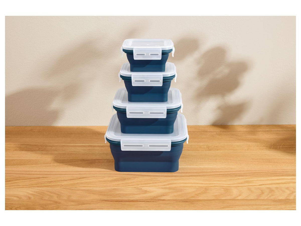 Lots de boîtes de conservation avec fermeture à clic en silicone
