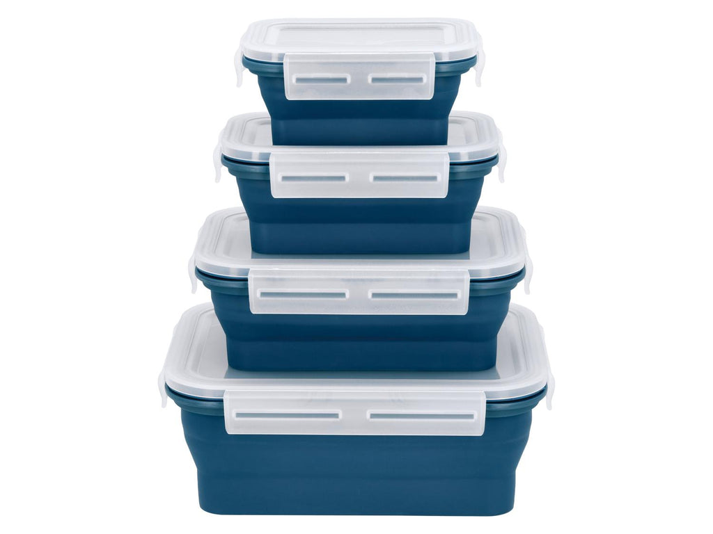 Lots de boîtes de conservation avec fermeture à clic en silicone