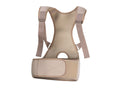 Ceinture dorsale