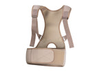 Ceinture dorsale