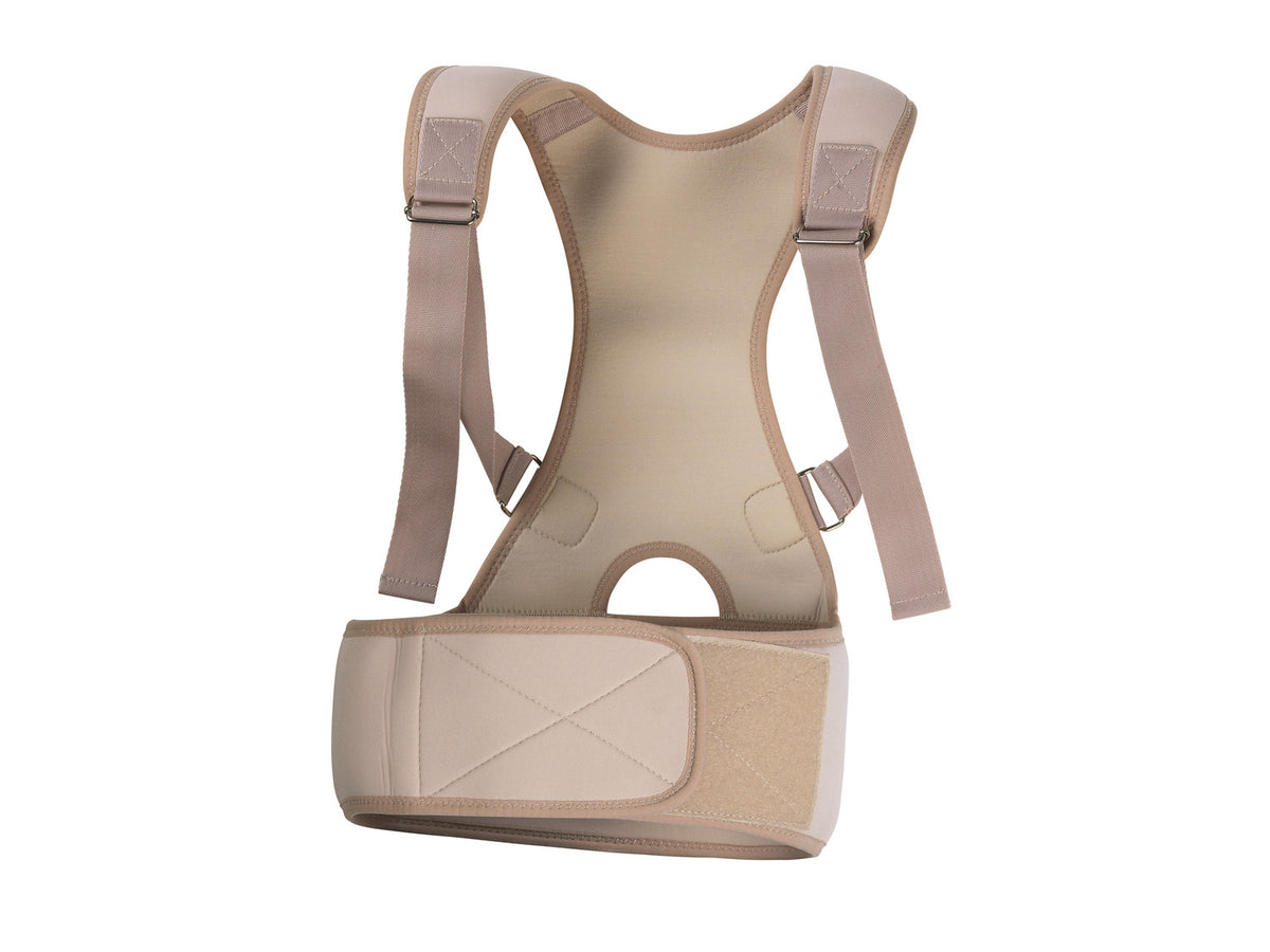 Ceinture dorsale