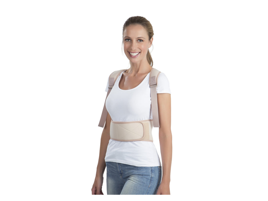 Ceinture dorsale