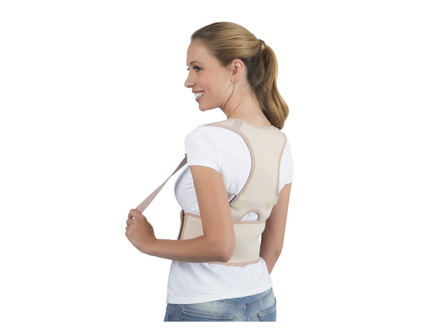 Ceinture dorsale