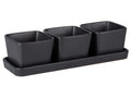 Set de 4 coupelles à snacks/dips