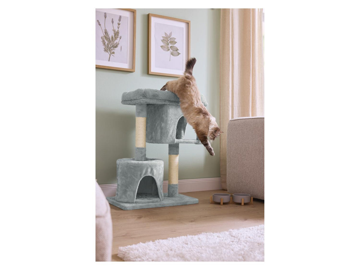 Arbre à chat