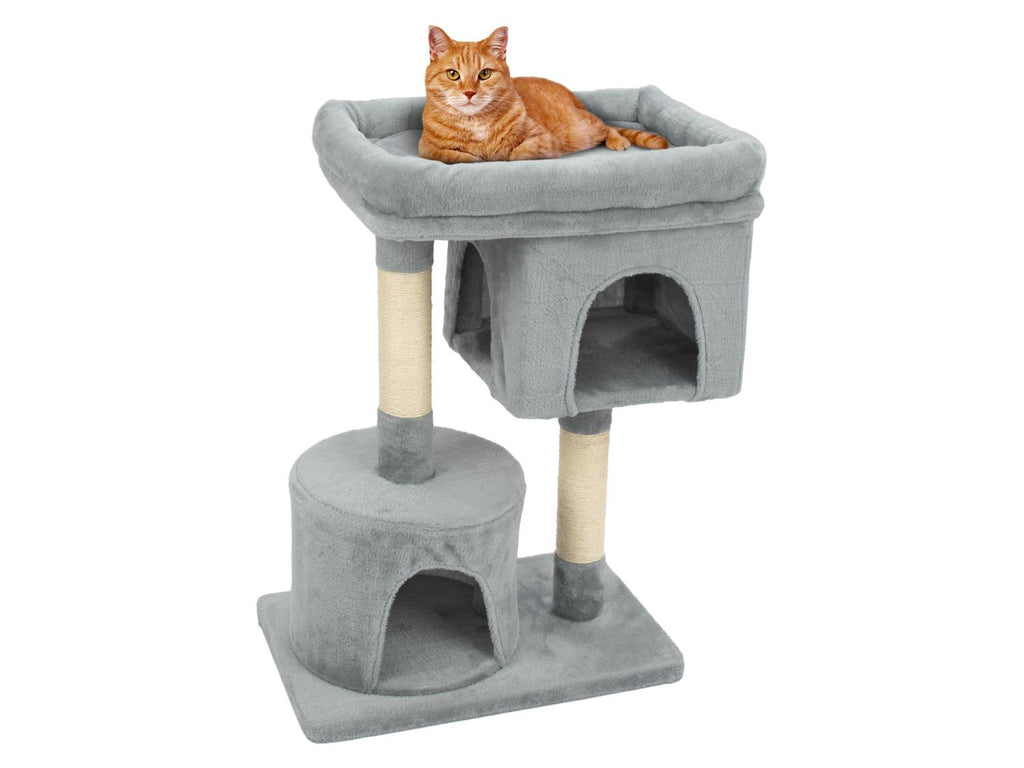 Arbre à chat