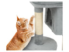 Arbre à chat