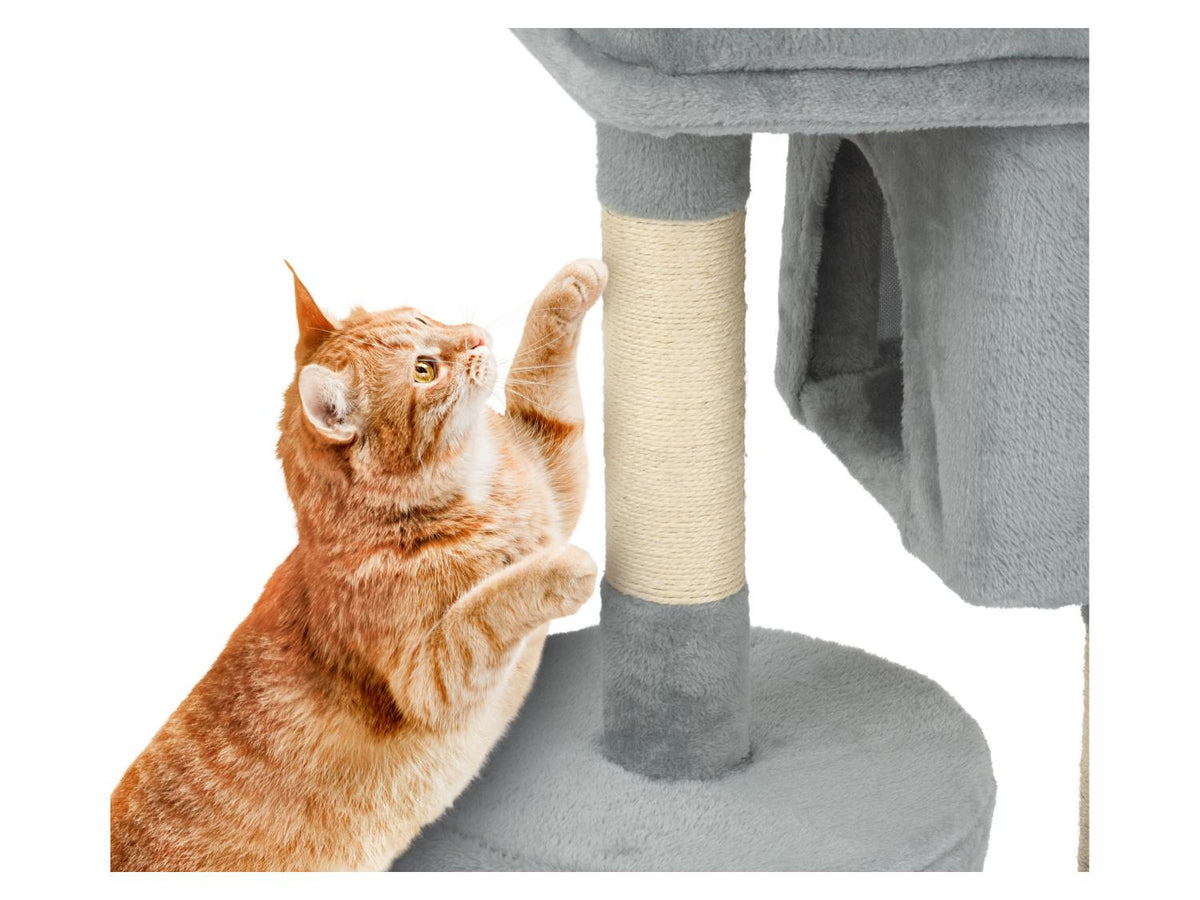 Arbre à chat