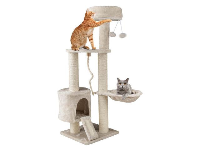 Arbre à chat