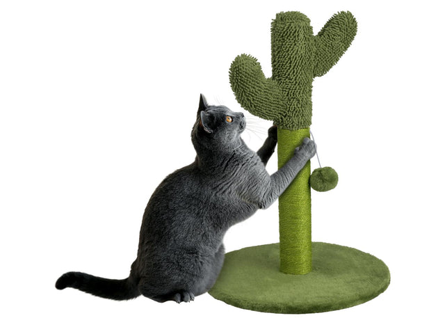 Arbre à chat