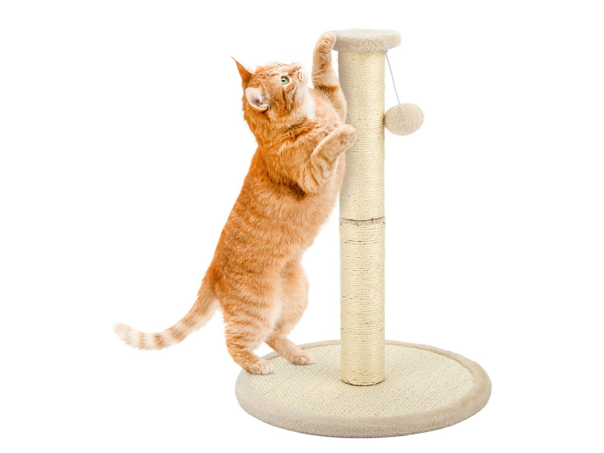 Arbre à chat