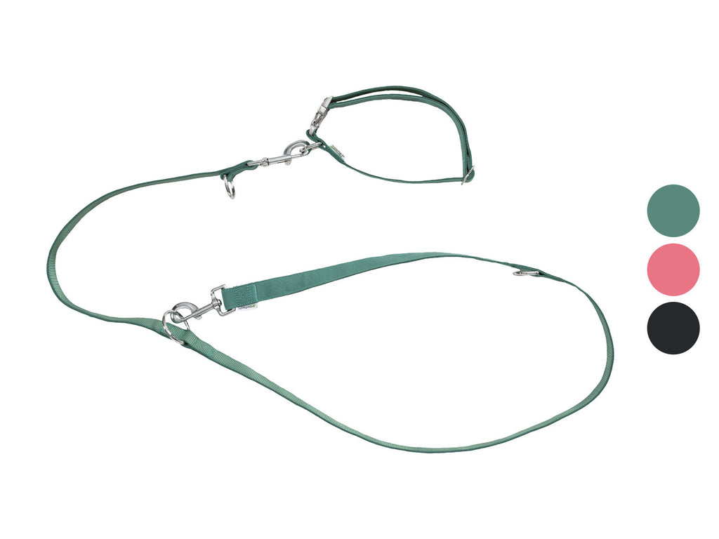 Collier et laisse pour chiens