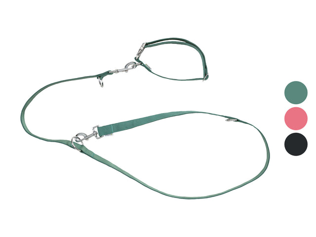 Collier et laisse pour chiens