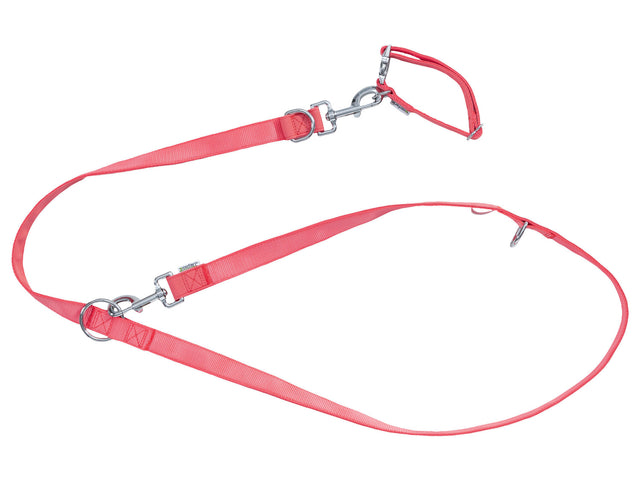 Collier et laisse pour chiens