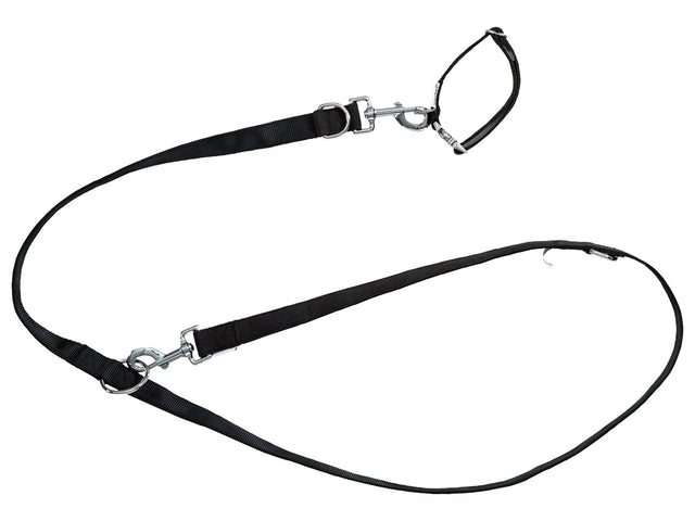 Collier et laisse pour chiens