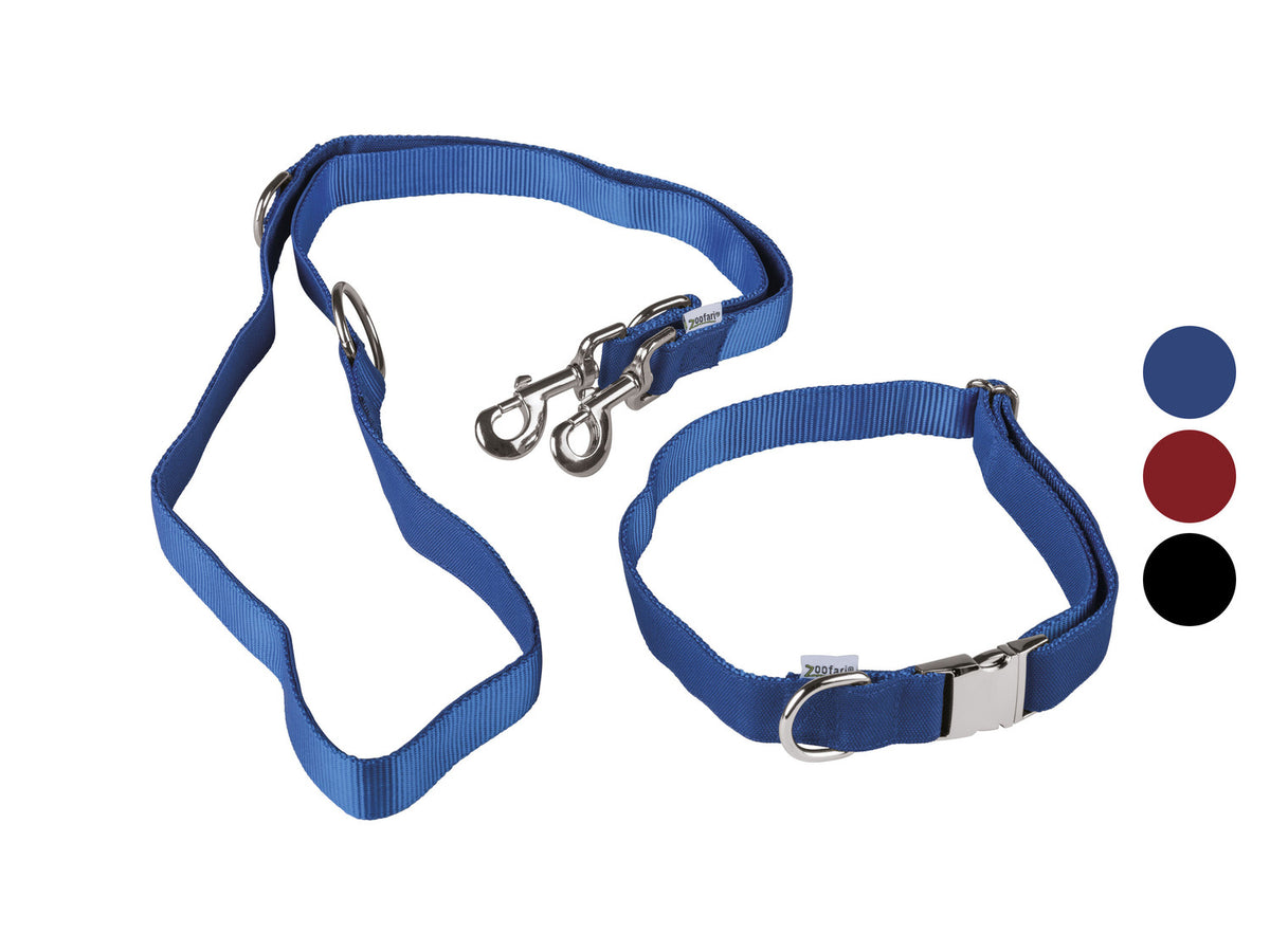 Collier pour chien avec laisse