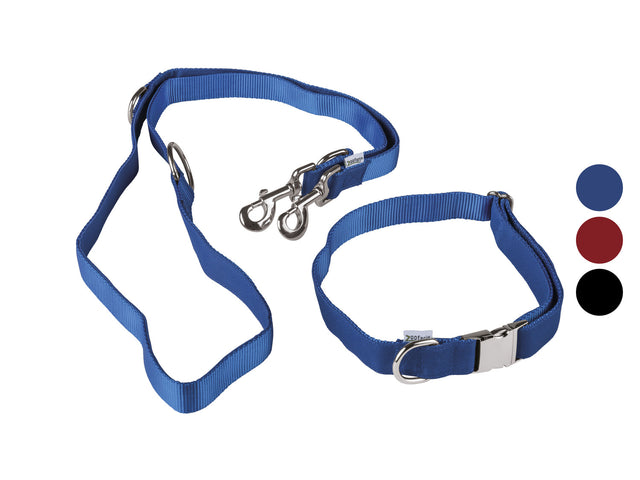 Collier pour chien avec laisse